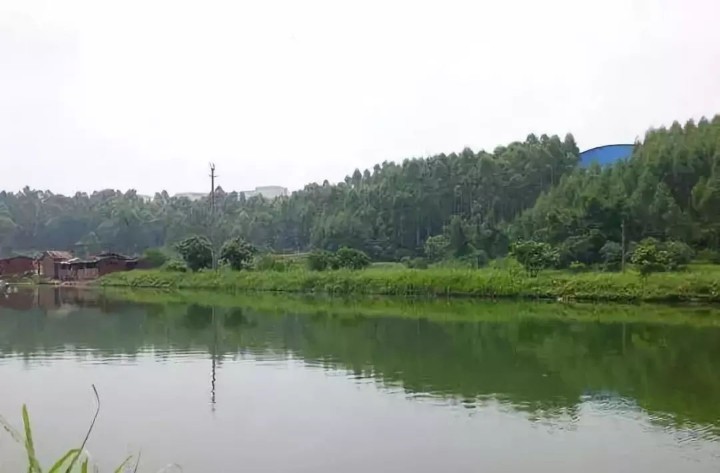 99f0-kkmphps5101563.jpg